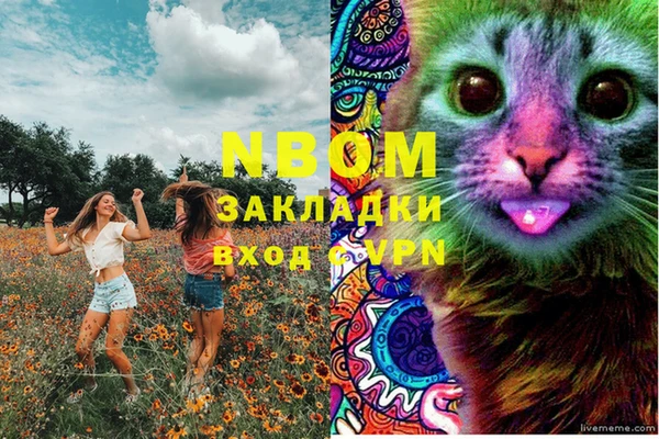 стаф Абдулино